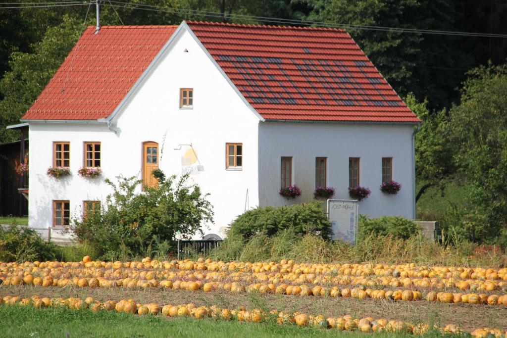 Buchgrabenhof Appartement Windisch Minihof Buitenkant foto